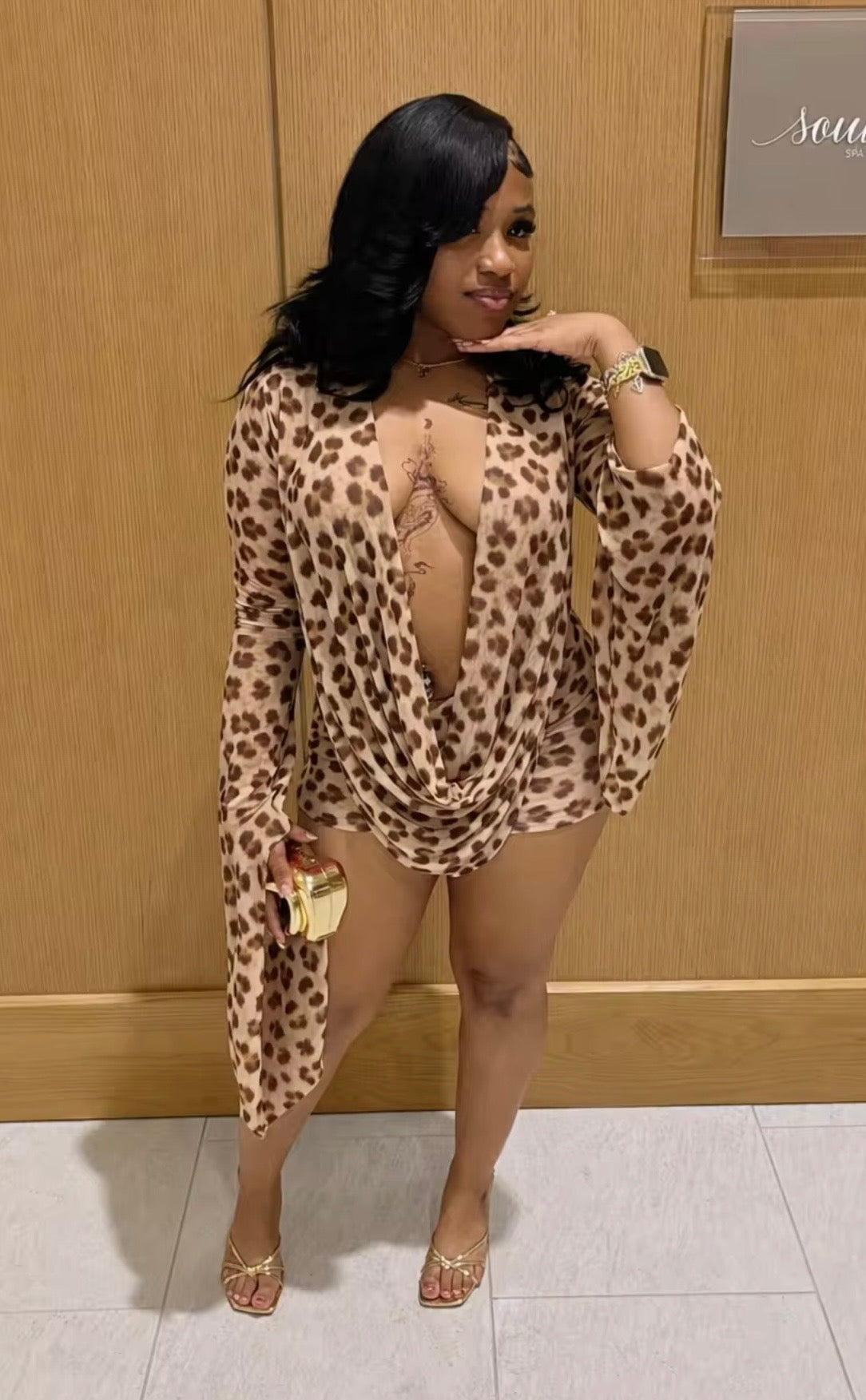 The Wild Attraction Sheer Dress (Cheetah Print)